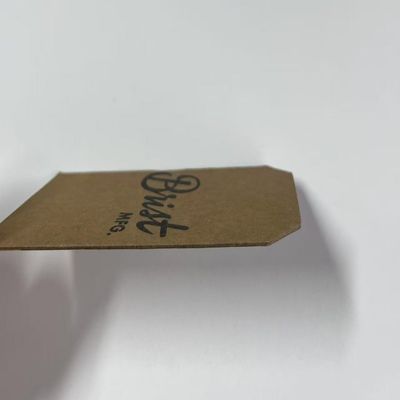 Fluorescente Verde Preço de Vestuário Tag e rótulos para bolsas